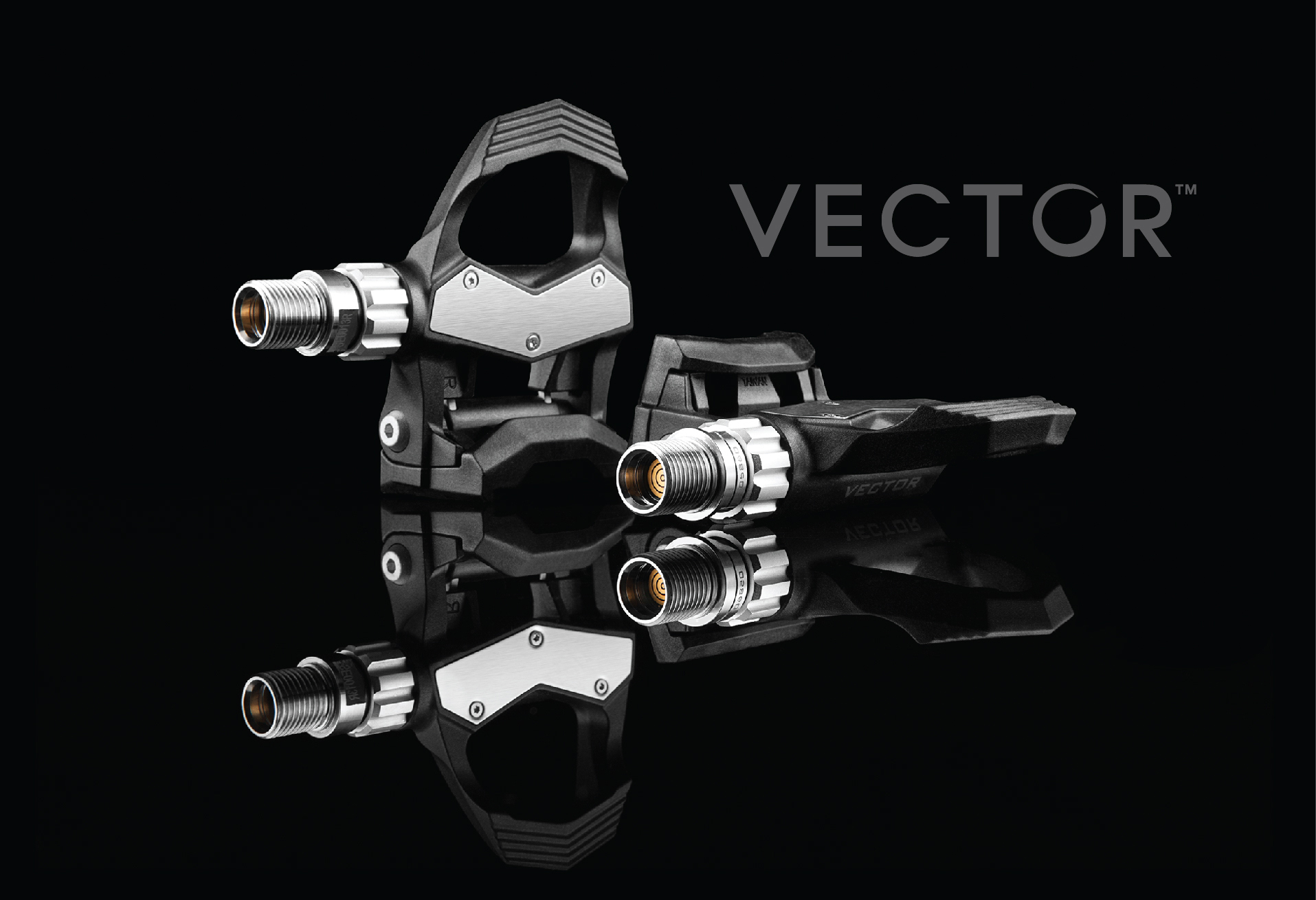 Vector-Image
